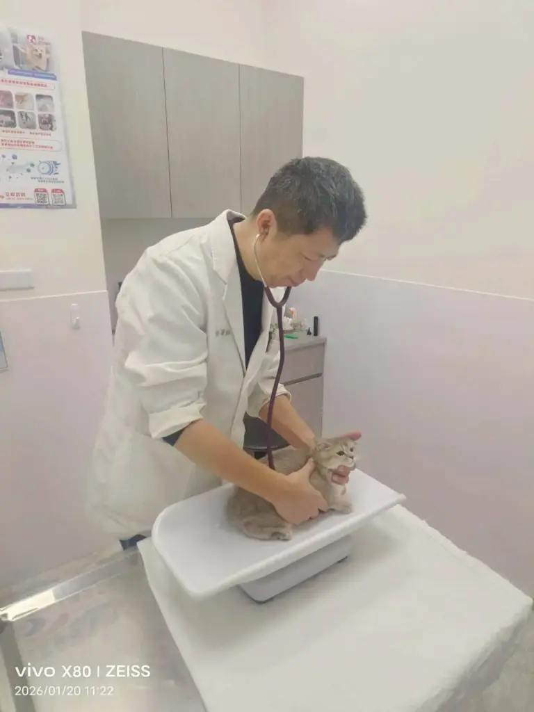 115年春節不打烊寵物服務5,666隻、急難救援94件 守護毛孩健康過好年! 115年春節不打烊寵物服務5,666隻、急難救援94件 守護毛孩健康過好年!