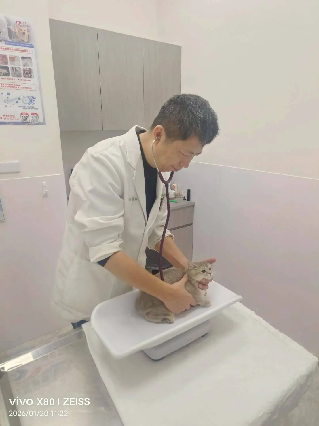 115年春節不打烊寵物服務5,666隻、急難救援94件 守護毛孩健康過好年! 115年春節不打烊寵物服務5,666隻、急難救援94件 守護毛孩健康過好年!