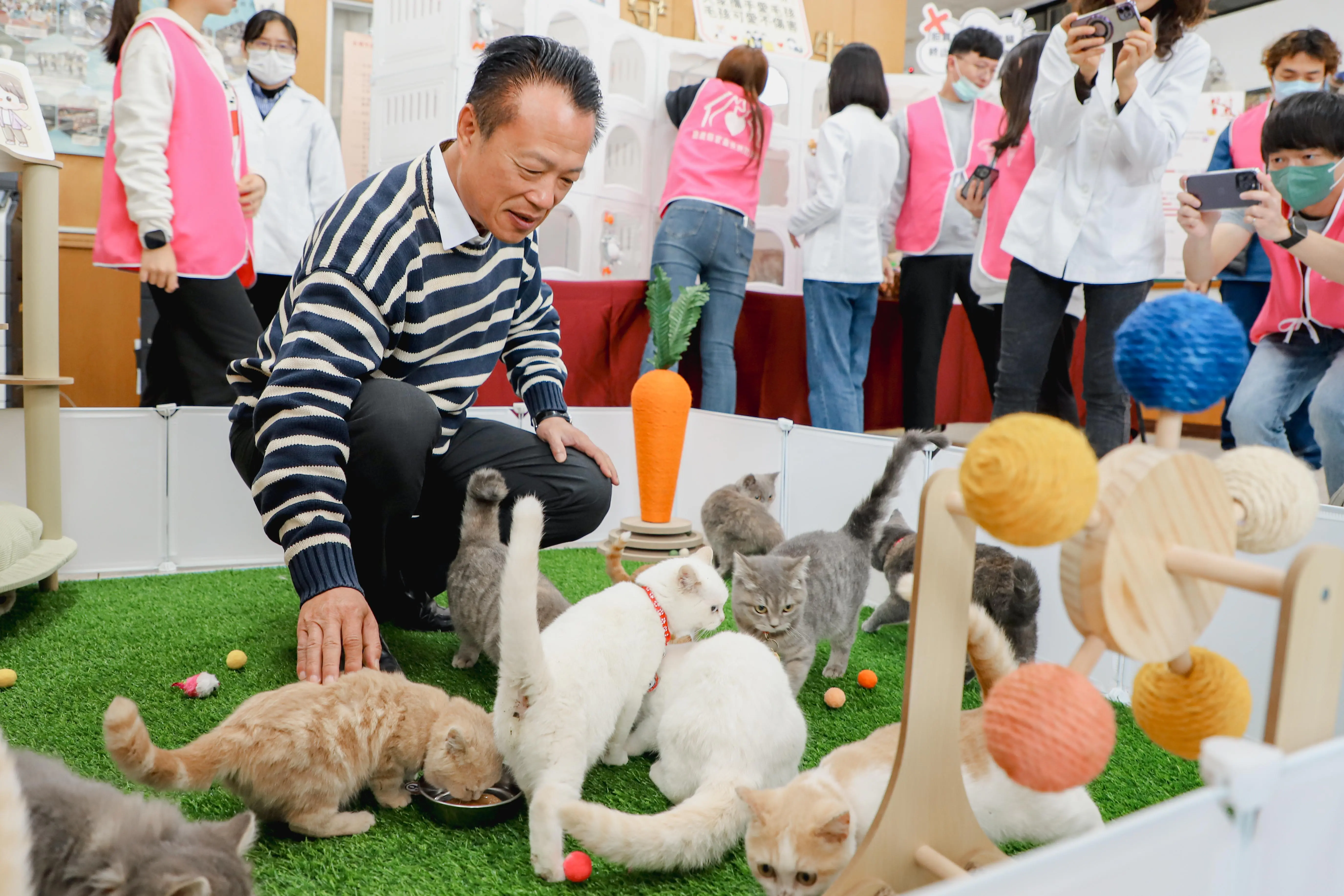 嘉義縣「喵星人命定配對」結果揭曉,0.65%中籤率抽出29位「鏟屎官」 嘉義縣「喵星人命定配對」結果揭曉,0.65%中籤率抽出29位「鏟屎官」