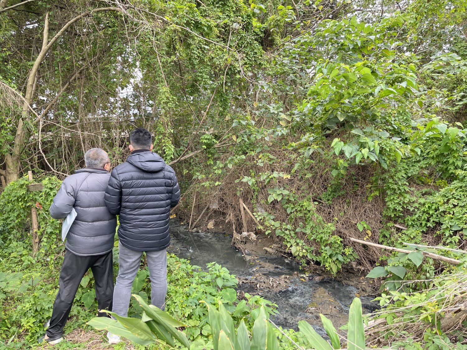 普忠里土地出入卡關 黃崇真服務處會同里長現勘 普忠里土地出入卡關 黃崇真服務處會同里長現勘