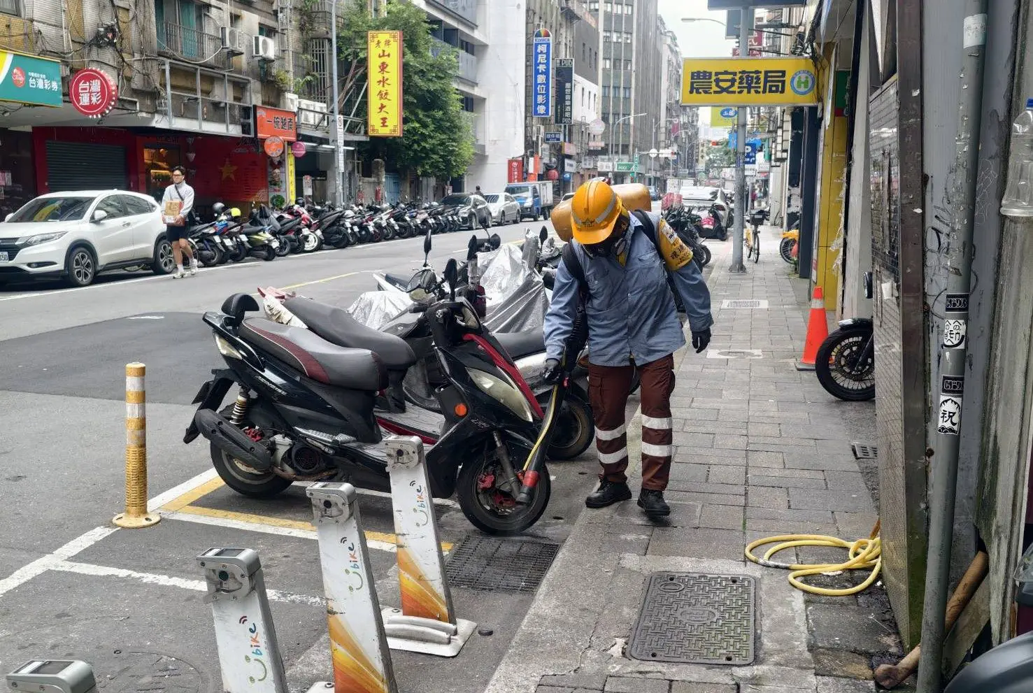北市防治鼠類 各局處同步啟動環境整頓及投藥作業 北市防治鼠類 各局處同步啟動環境整頓及投藥作業