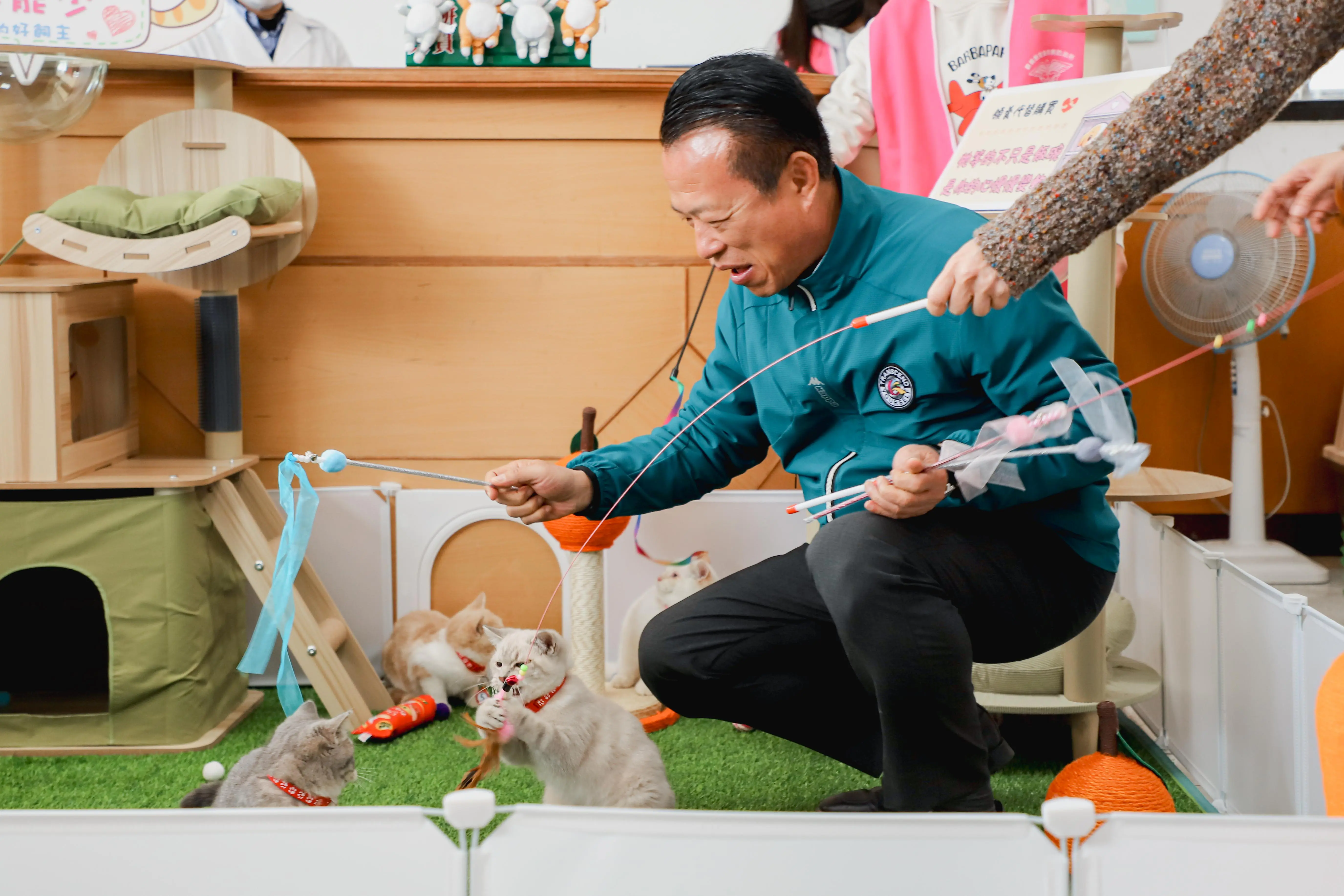 嘉義縣「喵星人命定配對」結果揭曉,0.65%中籤率抽出29位「鏟屎官」 嘉義縣「喵星人命定配對」結果揭曉,0.65%中籤率抽出29位「鏟屎官」