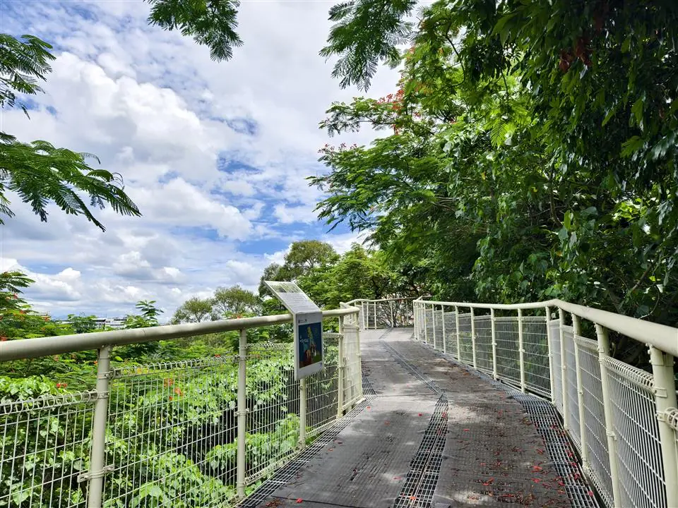 提升遊憩安全與舒適度！八卦山天空步道橋面板改善工程 3月9日起全線封閉暫停開放