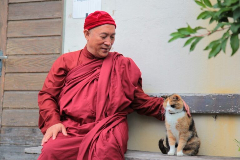 心道法師「靈性之眼」一個修行人眼中的世界
