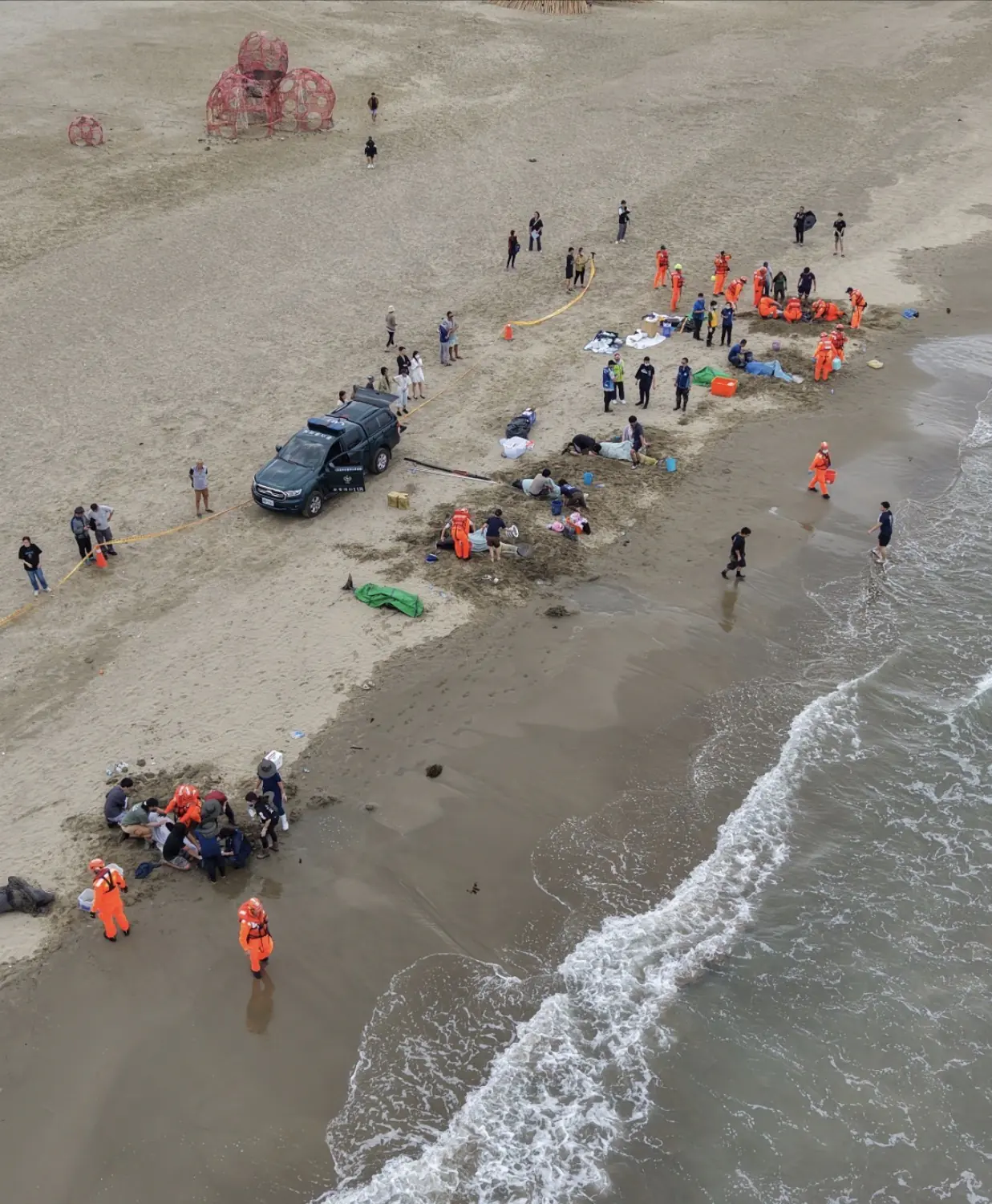 小虎鯨回家了!屏東擱淺救援成功 MARN團隊助其重返大海 小虎鯨回家了!屏東擱淺救援成功 MARN團隊助其重返大海