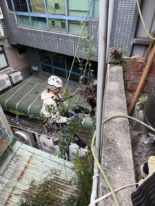台北市萬華區公寓外牆除樹工程施工