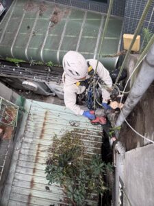 台北市萬華區公寓外牆除樹工程施工