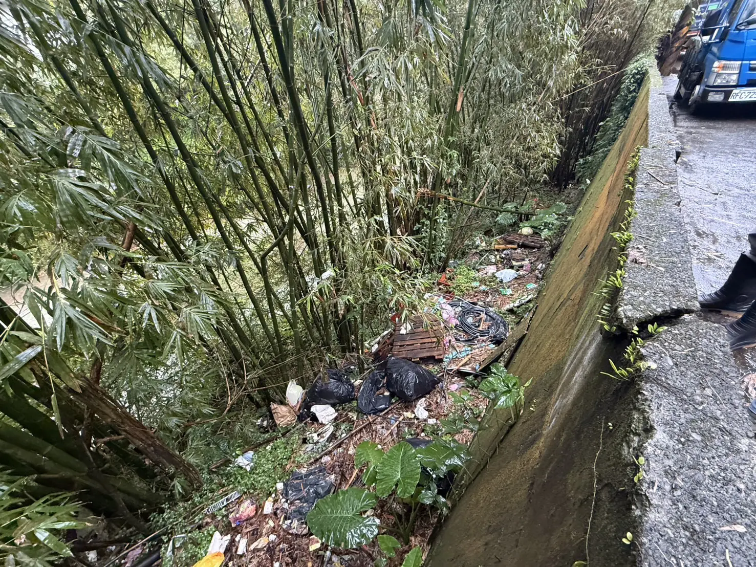 基隆市加強公有土地環境稽查髒亂 空地比照亂丟垃圾開罰4800元起 基隆市加強公有土地環境稽查髒亂 空地比照亂丟垃圾開罰4800元起