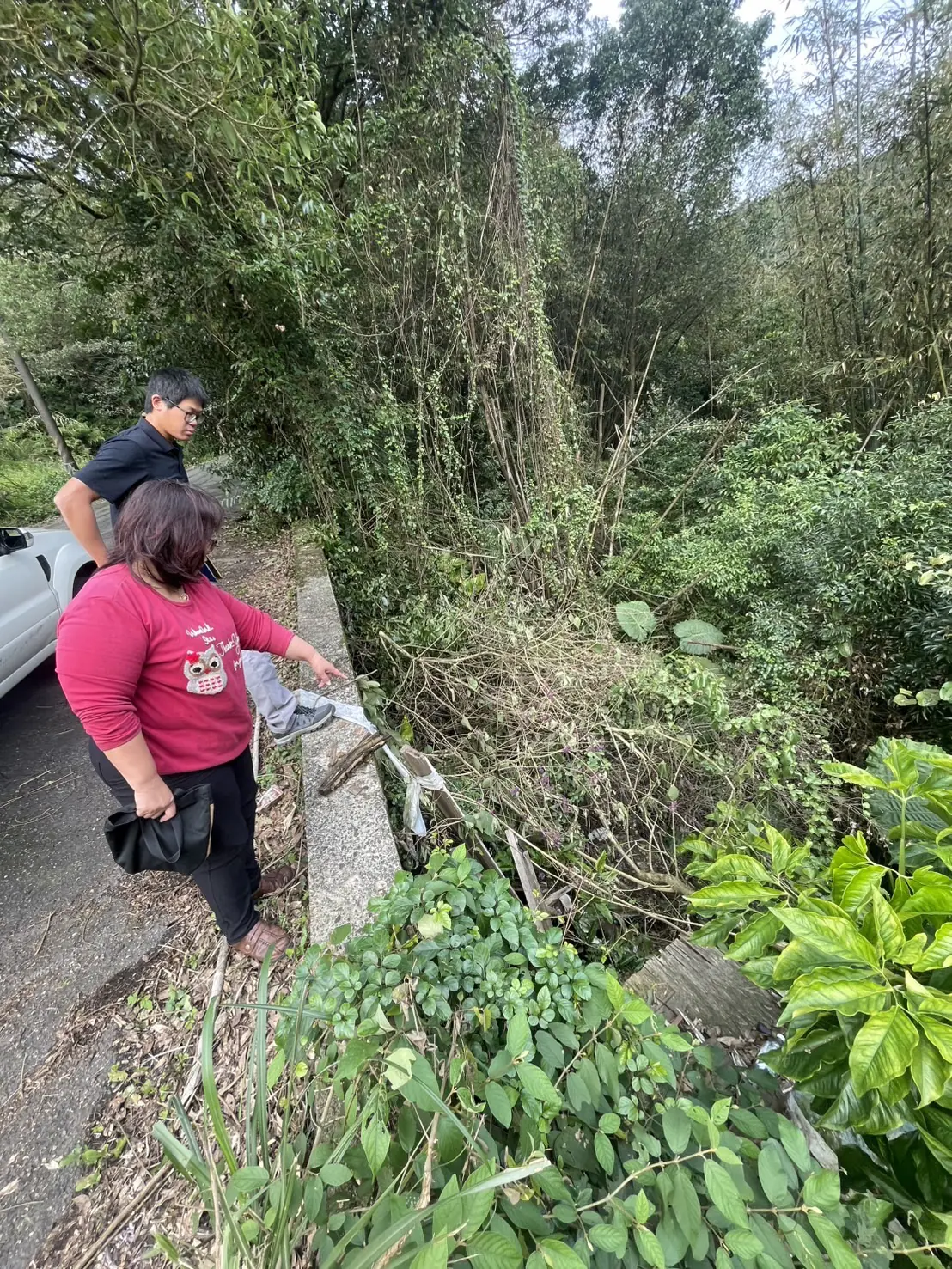 基隆市加強公有土地環境稽查髒亂 空地比照亂丟垃圾開罰4800元起 基隆市加強公有土地環境稽查髒亂 空地比照亂丟垃圾開罰4800元起