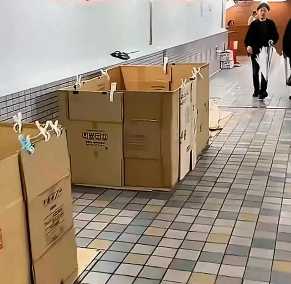 紙箱下的日本 被忽視的經濟與社會警訊 紙箱下的日本 被忽視的經濟與社會警訊