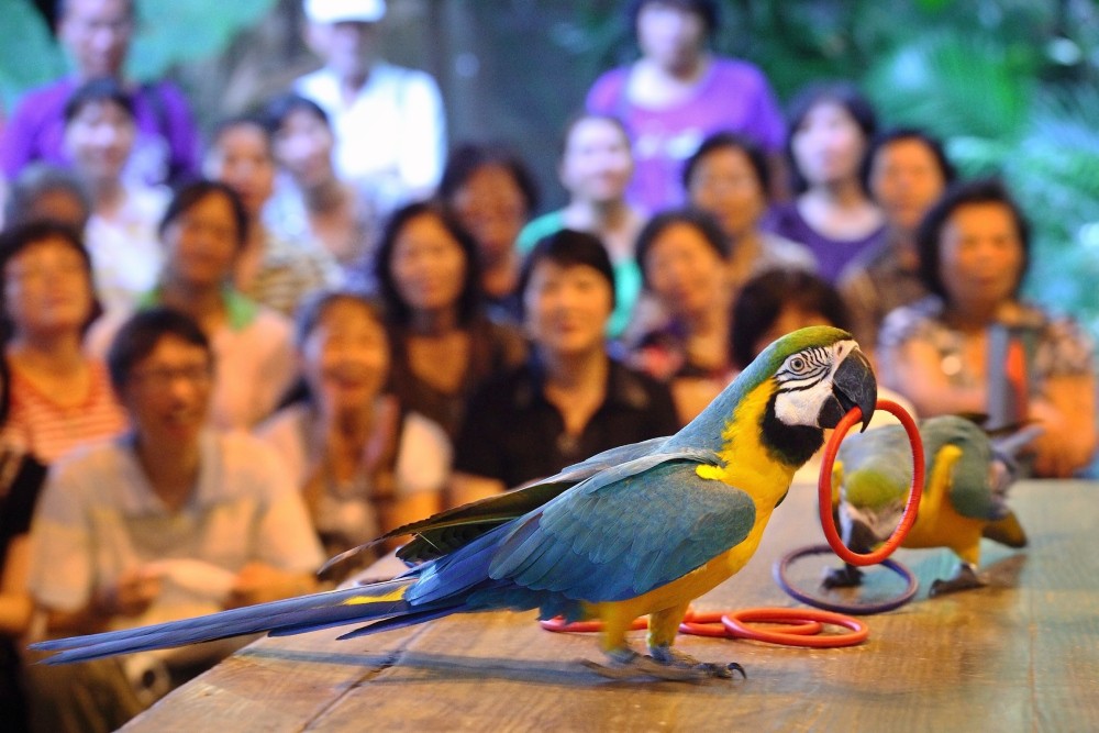 綠世界推「馬免費」超殺優惠! 2026屬馬免費暢遊 綠世界推「馬免費」超殺優惠! 2026屬馬免費暢遊