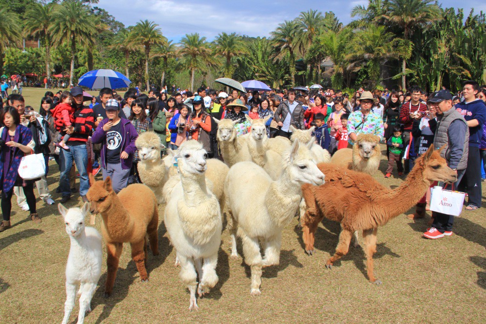 綠世界推「馬免費」超殺優惠! 2026屬馬免費暢遊 綠世界推「馬免費」超殺優惠! 2026屬馬免費暢遊