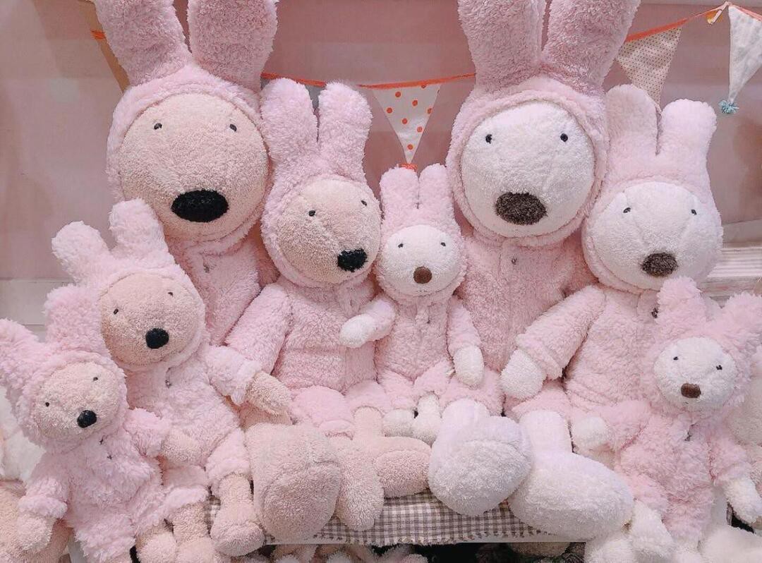 療癒成日常:Angel LaLa 法國兔小屋推開店圓夢計畫 療癒成日常:Angel LaLa 法國兔小屋推開店圓夢計畫