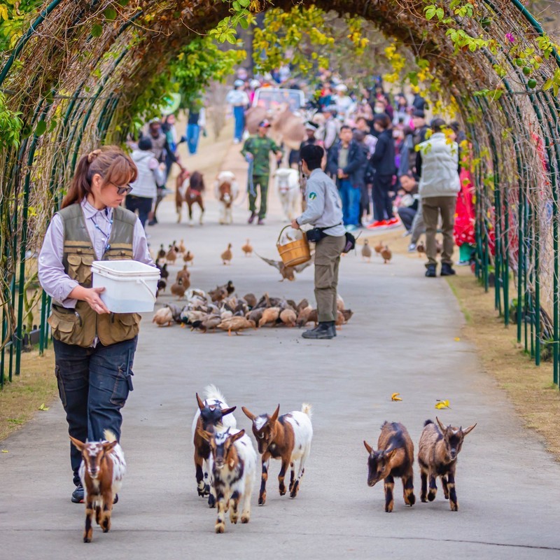 宜蘭萌寵農場風暴後的曙光!九九峰動物樂園「生命守護計畫」 專業醫療接手確保動物福祉 宜蘭萌寵農場風暴後的曙光!九九峰動物樂園「生命守護計畫」 專業醫療接手確保動物福祉