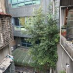 台北市萬華區公寓外牆除樹工程施工