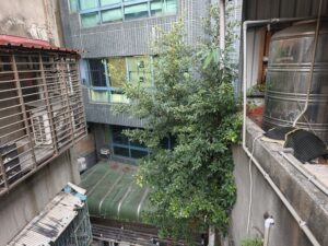 台北市萬華區公寓外牆除樹工程施工