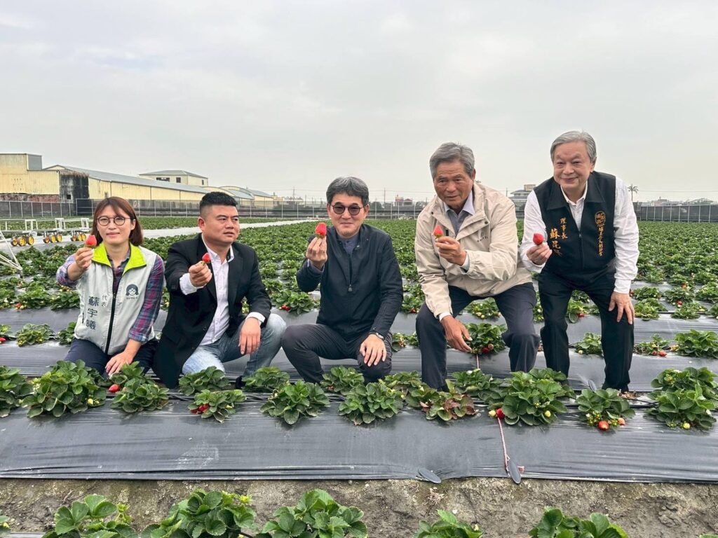 魚塭變草莓園!褒忠魚菜共生進軍超商 劉建國籲政府助擴產 魚塭變草莓園!褒忠魚菜共生進軍超商 劉建國籲政府助擴產