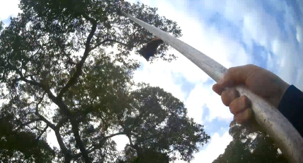 空拍機卡樹鞋也受困 暖警靠「它」神救援化解窘境 空拍機卡樹鞋也受困 暖警靠「它」神救援化解窘境