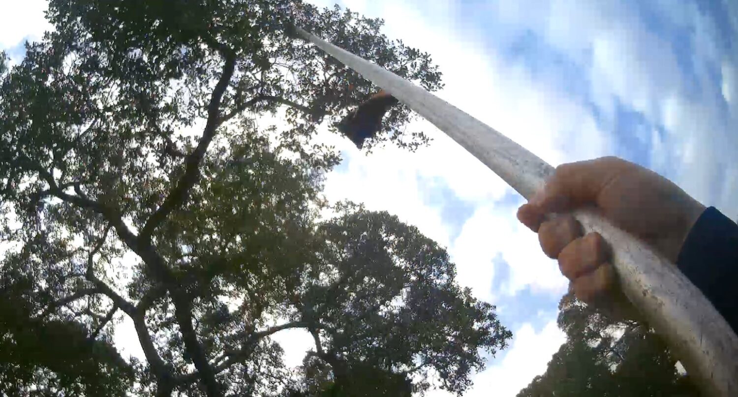 空拍機卡樹鞋也受困 暖警靠「它」神救援化解窘境 空拍機卡樹鞋也受困 暖警靠「它」神救援化解窘境