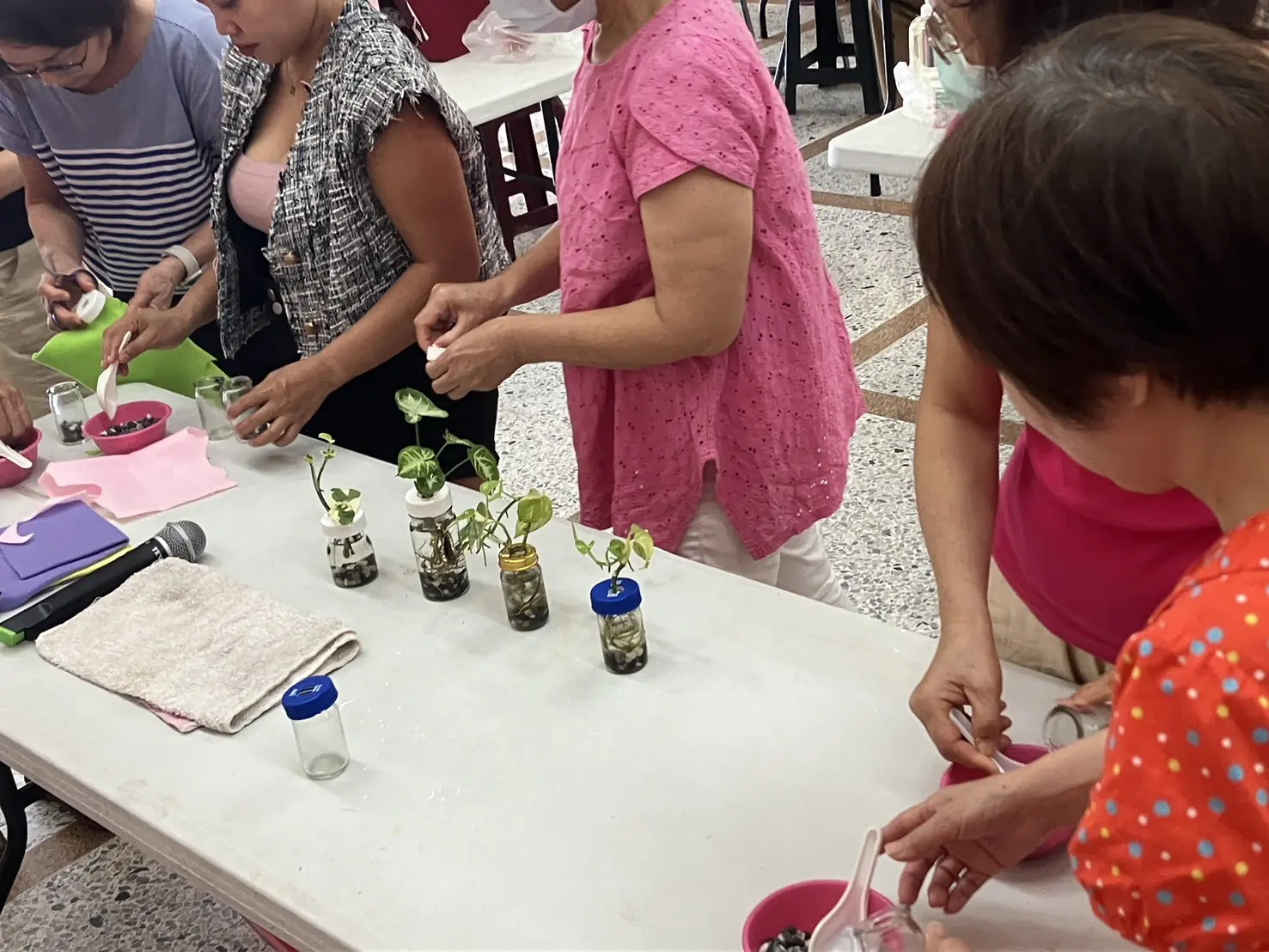 舊瓶罐種出好空氣 中市清潔隊推再生植栽兼顧美化與防疫 舊瓶罐種出好空氣 中市清潔隊推再生植栽兼顧美化與防疫