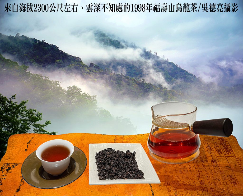 賣掉一棟別墅驚天藏茶43年 台灣福壽山茶1983至今經典再現 賣掉一棟別墅驚天藏茶43年 台灣福壽山茶1983至今經典再現