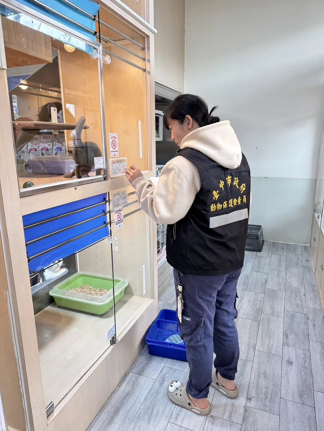 台中市動保成果亮眼! 全國114年動保及寵物管理評鑑奪雙「特優」佳績 台中市動保成果亮眼! 全國114年動保及寵物管理評鑑奪雙「特優」佳績