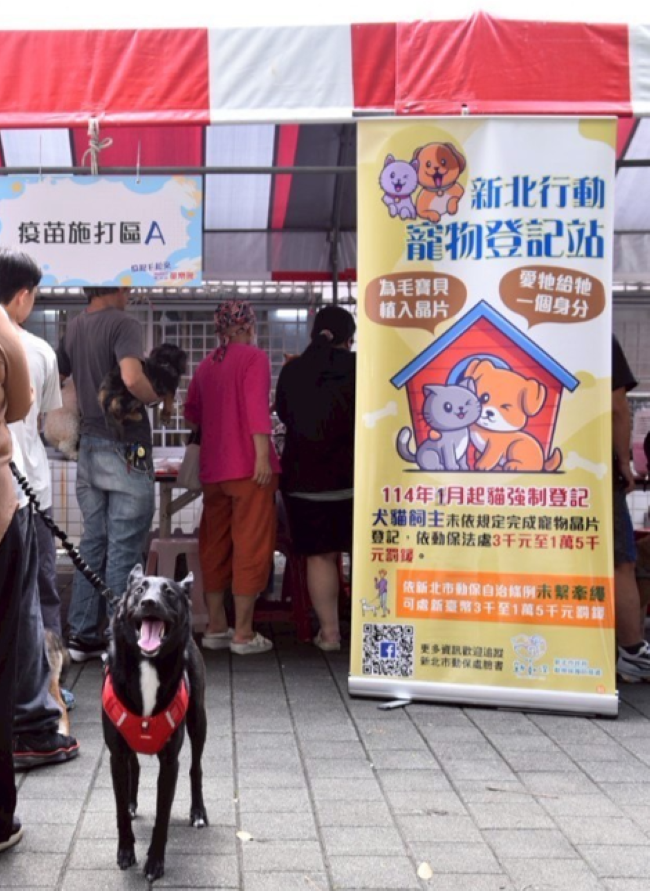 新北狂犬病績效全國No.1 侯友宜表揚防疫英雄 14 《圖說》每場疫苗注射活動都有免費施打晶片及寵物登記,犬貓皆應完成晶片植入及寵物登記。〈動保處提供〉