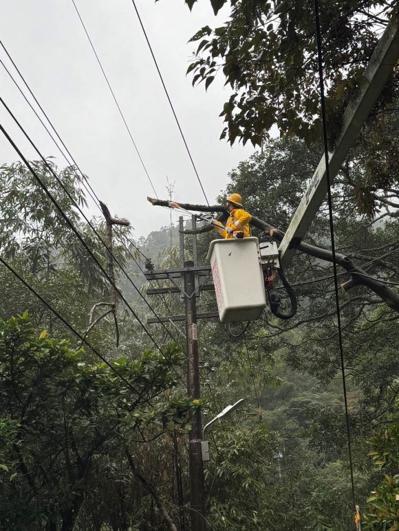 迎戰夏尖峰 台電北南區處〈驚蟄穩供〉超前整備 27 《圖說》北南區處同仁執行樹木修剪作業,為降低線路停電事故。〈台電北南區處提供〉