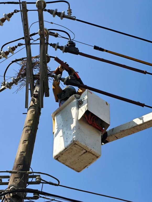 迎戰夏尖峰 台電北南區處〈驚蟄穩供〉超前整備 28 《圖說》北南區處同仁執行鳥巢摘除作業,為降低線路停電事故。〈台電北南區處提供〉