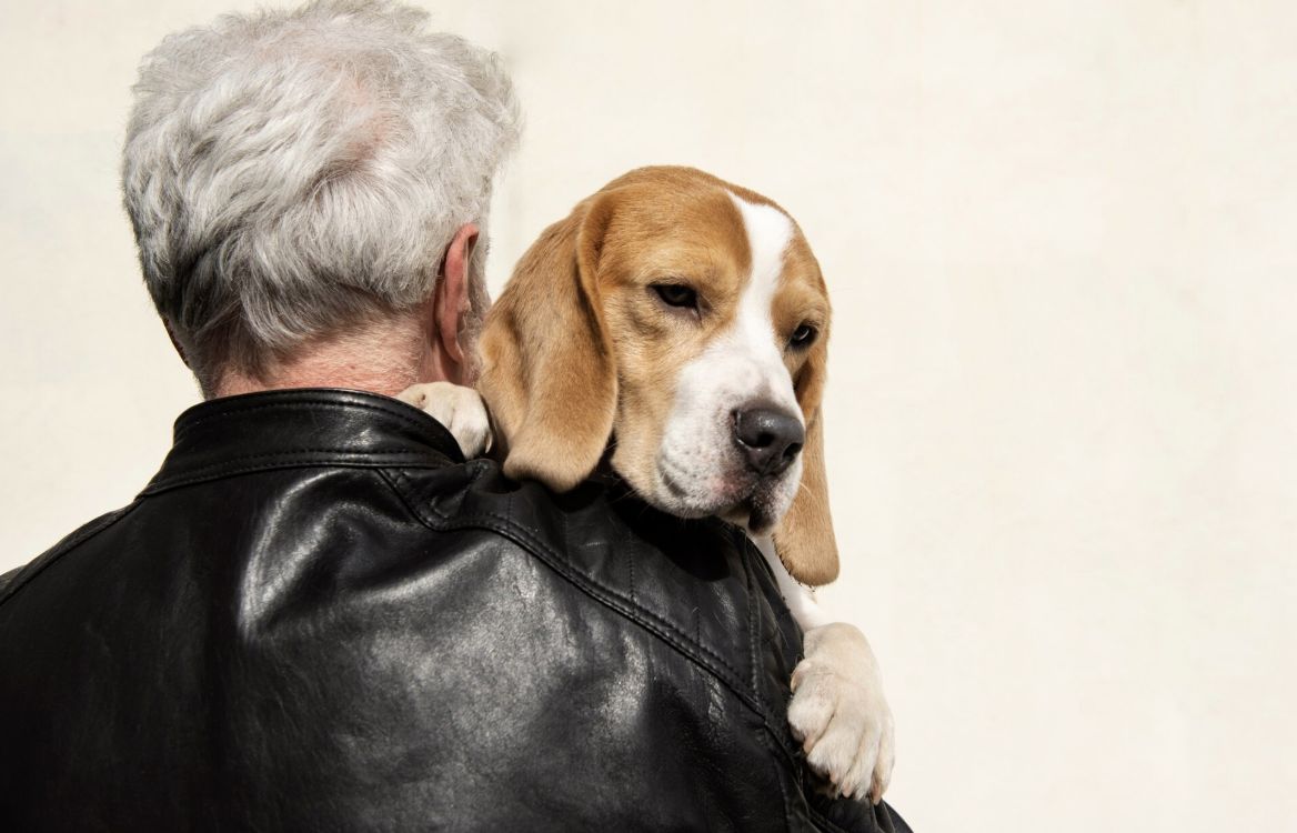 助攻B2B產線高效升級!勤億推生技原料搶攻銀髮與寵物商機 圖/迎戰今年最具爆發力的市場板塊「銀髮族」與「寵物毛孩」兩大雙金市場。勤億透過獨家技術,將單純的畜牧業資源提煉頂規生技原料。(擷取自免費圖庫freepik)