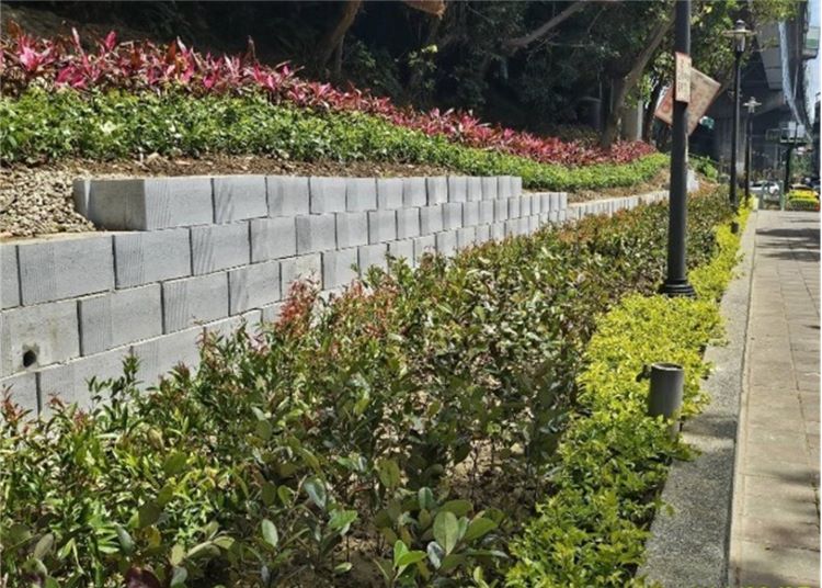 從荒地到綠帶 新北綠家園15年翻轉城市角落 57 《圖說》三重區格致中學東側旁邊坡綠家園基地綠美化成果---帶狀隔離型。〈城鄉局提供〉