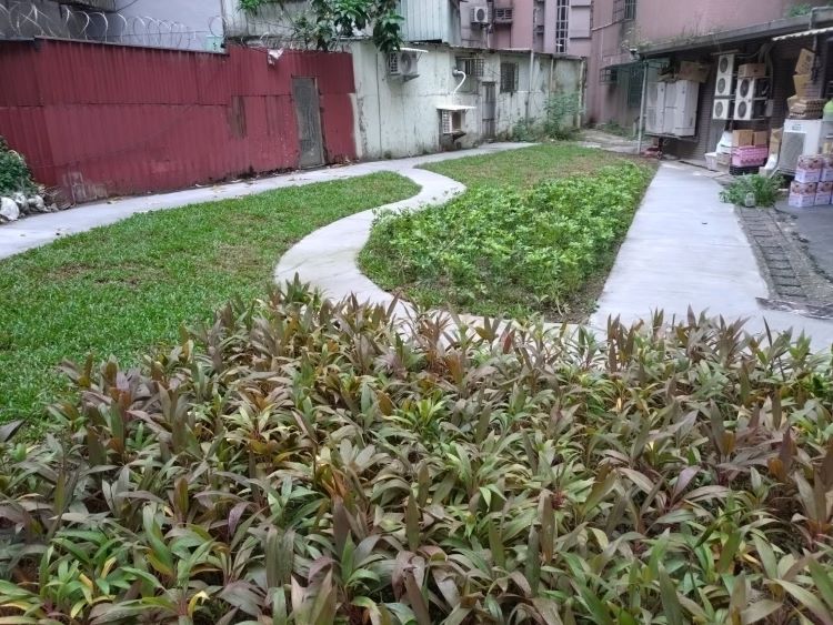 從荒地到綠帶 新北綠家園15年翻轉城市角落 58 《圖說》中和區南華路68號旁空地綠家園基地綠美化成果--社區口袋型。〈城鄉局提供〉