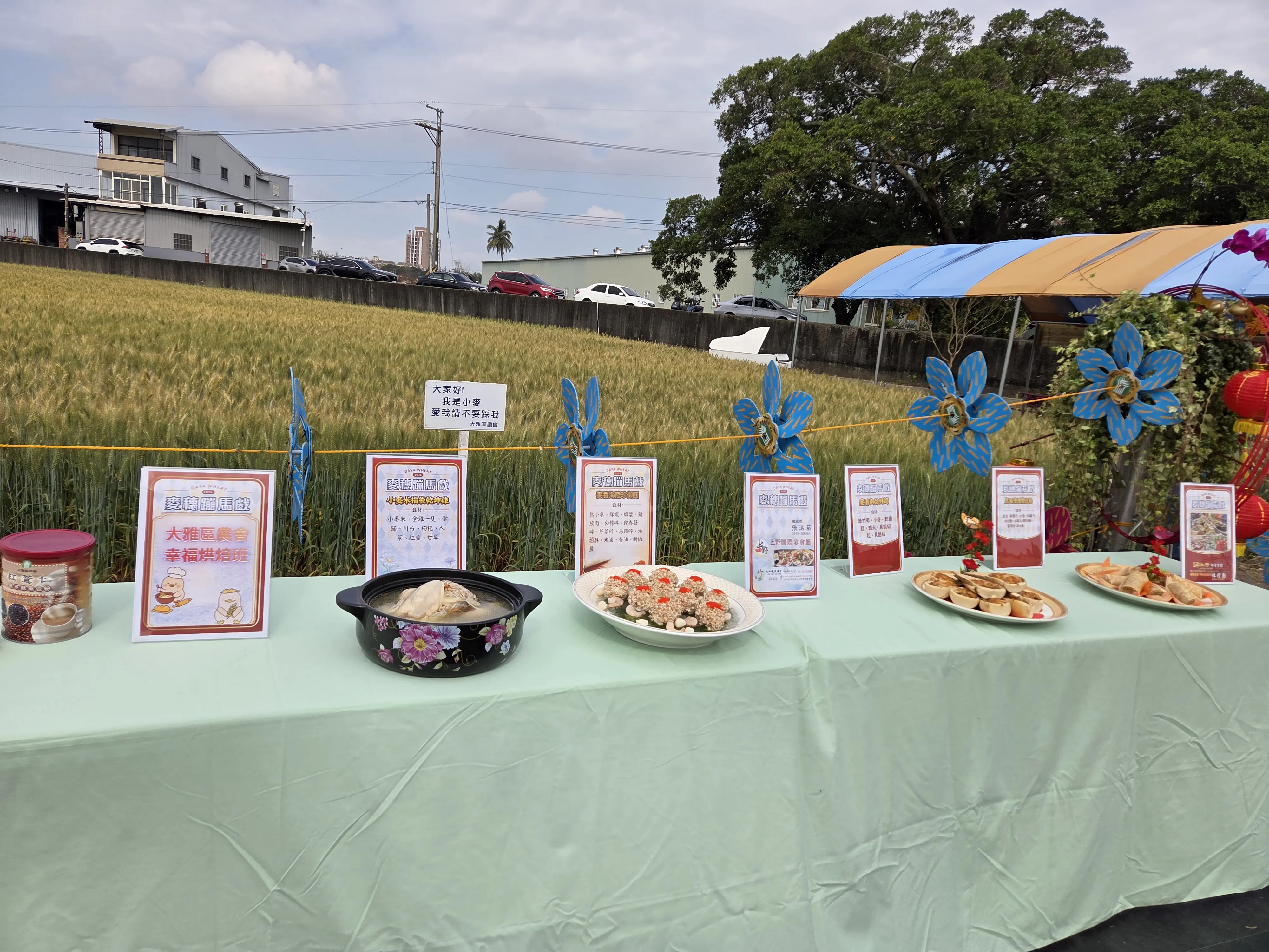 2026麥穗蹦馬戲 3月7日相約大雅 走進金色麥浪 體驗春日麥鄉盛典 2026麥穗蹦馬戲 3月7日相約大雅 走進金色麥浪 體驗春日麥鄉盛典