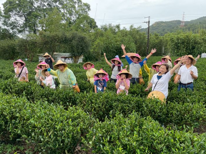 新北客家拓展都會新藍圖 串聯文化與創生再升級 38 《圖說》新北市客家局打造山客尞尞品牌,串聯三峽客籍茶行,規劃走讀活動。〈客家局提供〉