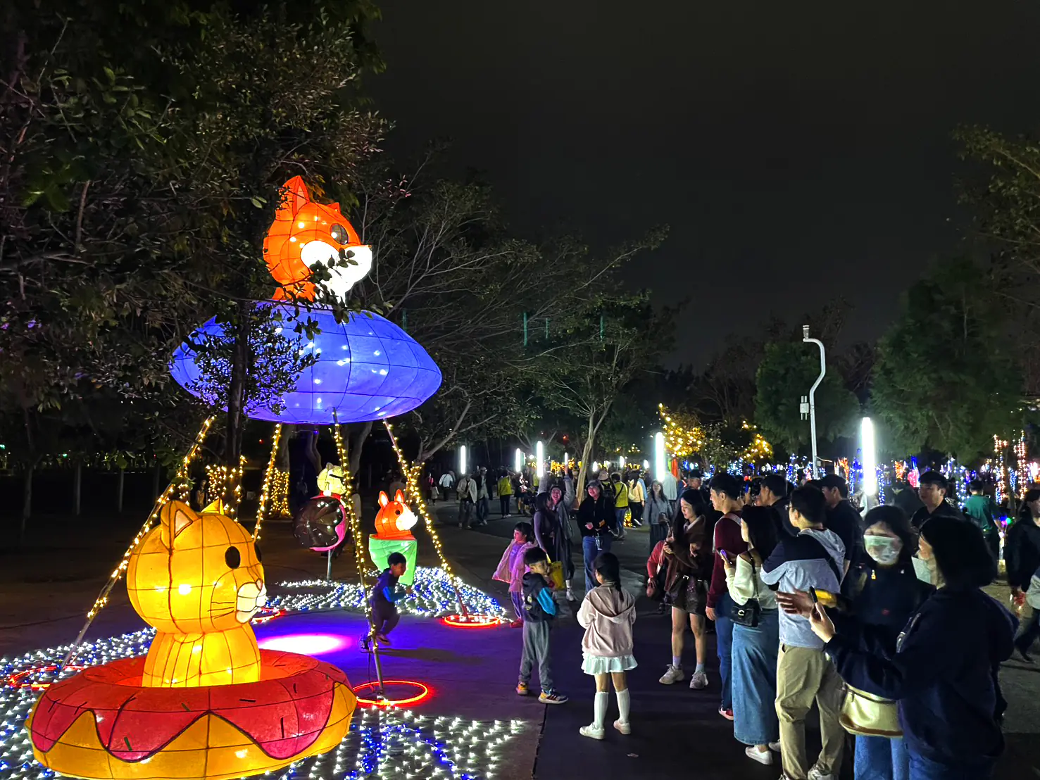 燈光藝術結合生命教育 2026中台灣燈會「動物夢世界」溫暖落幕 燈光藝術結合生命教育 2026中台灣燈會「動物夢世界」溫暖落幕