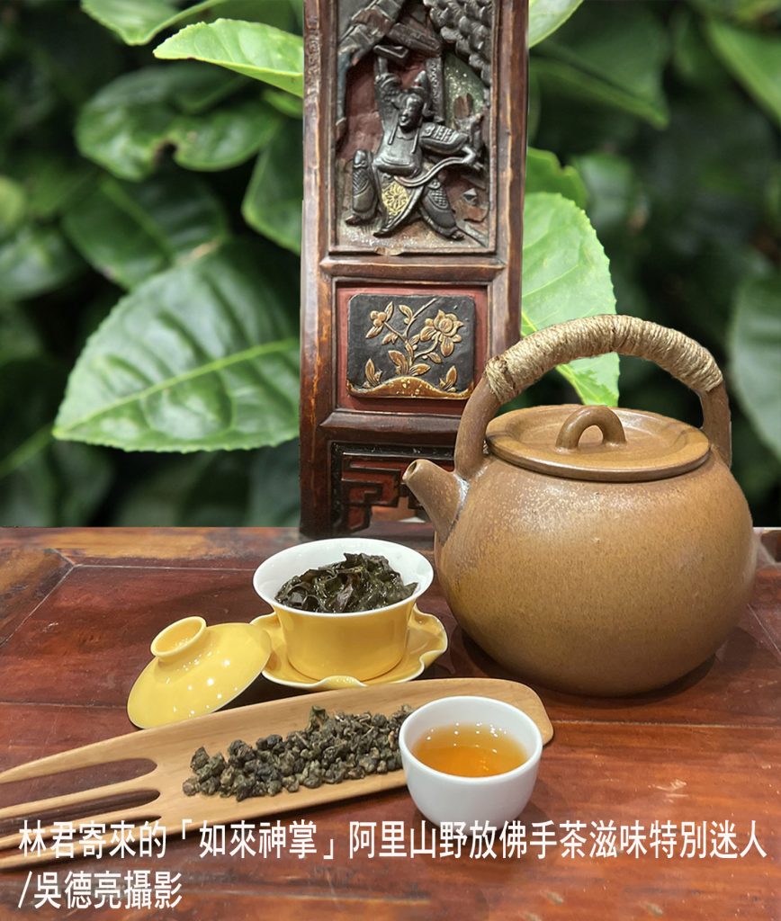 佛手茶唐山過台灣 佛手茶唐山過台灣