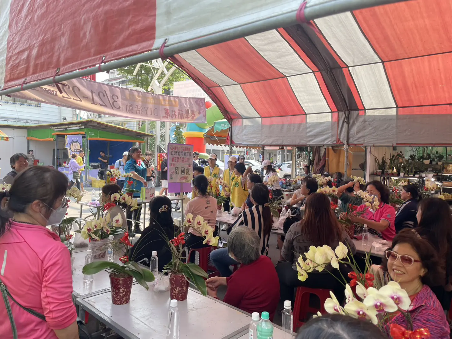 2026春季蘭花評鑑今頒獎 中市農業局邀民共賞國產花卉魅力 2026春季蘭花評鑑今頒獎 中市農業局邀民共賞國產花卉魅力