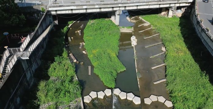 打造韌性城市再添里程碑 新北治水成果雙獎肯定 52 《圖說》大窠坑溪水環境營造工程具有多樣水域型態,提供自然棲地與生態跳島。〈水利局提供〉