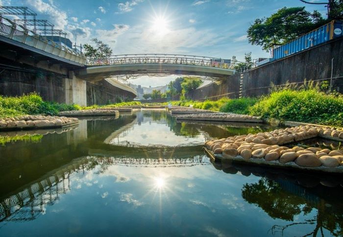 打造韌性城市再添里程碑 新北治水成果雙獎肯定 51 《圖說》大窠坑溪水環境營造工程營造多元環境,待淤積後可成為植生復育棲地。〈水利局提供〉