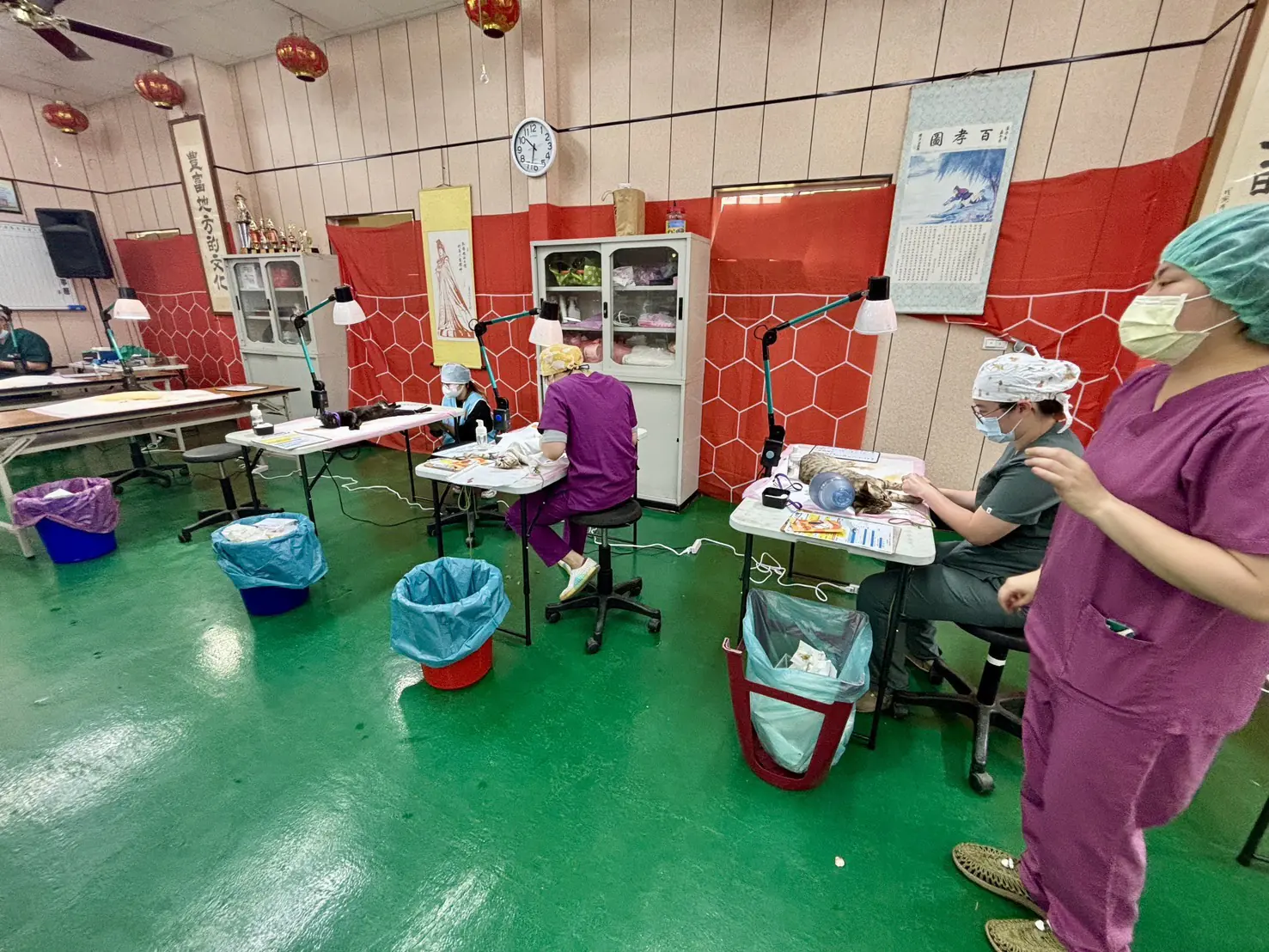 公私協力守護毛孩健康 台中市115年偏區犬貓3合1首場活動梧棲登場 公私協力守護毛孩健康 台中市115年偏區犬貓3合1首場活動梧棲登場