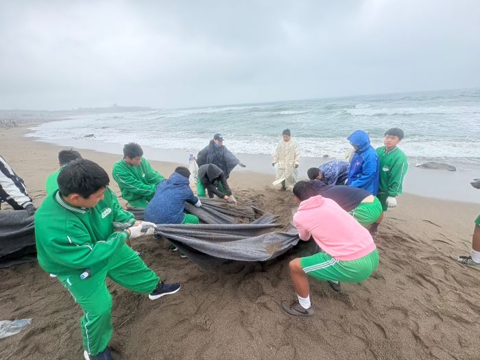 響應海灘認養政策 POP Radio攜手民眾守護新北海岸線 53 《圖說》三芝國中橄欖球隊的「年輕生力軍」合力清理大型廢棄物。〈環保局提供〉