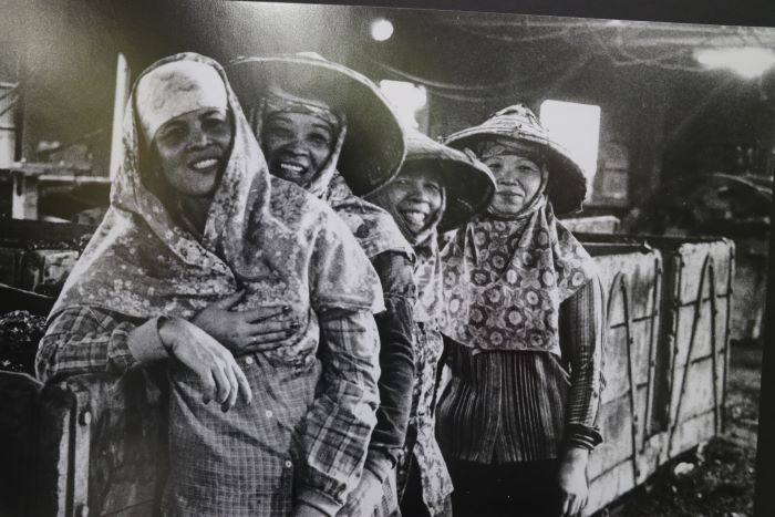 走讀「菁桐女路」黑金歲月 楊桂馨訴說礦工的女兒堅韌人生 32 《圖說》菁桐男人入礦坑採礦,婦女幫忙選媒。原攝影者朱健炫老師,翻拍自菁桐礦業生活館。〈社會局提供〉