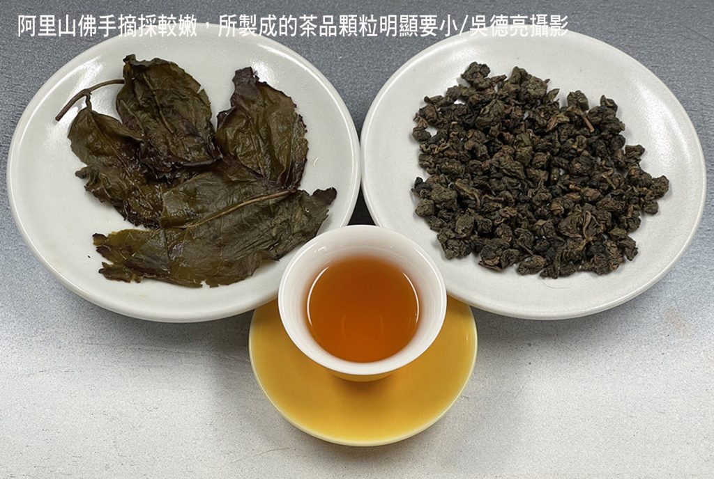 佛手茶唐山過台灣 佛手茶唐山過台灣