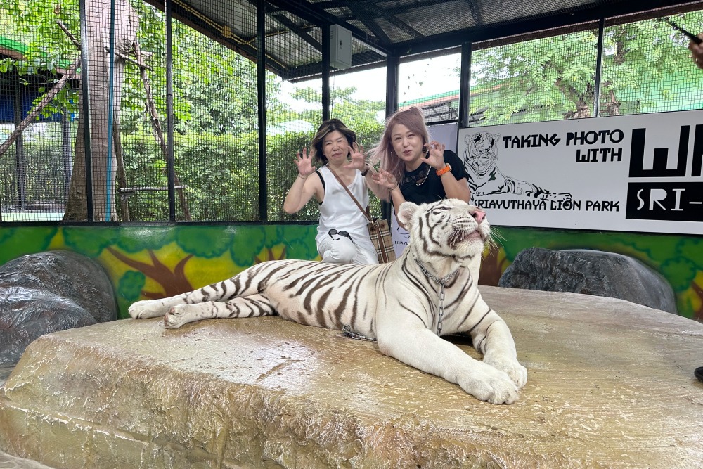 「紹謙旅行社」以服務韓國與泰國為主軸 重新定義精緻小包車團體旅遊新體驗 「紹謙旅行社」以服務韓國與泰國為主軸 重新定義精緻小包車團體旅遊新體驗