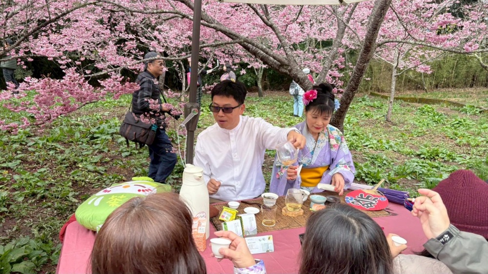 梨山高山茶香迎春 2026「櫻為幸福・封茶藏富」品茗茶會圓滿成功 7 03梨山高山茶香迎春櫻花茶會梨山櫻花