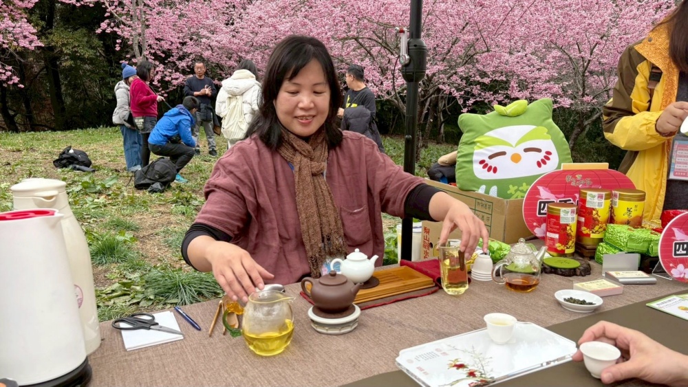 梨山高山茶香迎春 2026「櫻為幸福・封茶藏富」品茗茶會圓滿成功 8 04梨山高山茶香迎春櫻花茶會
