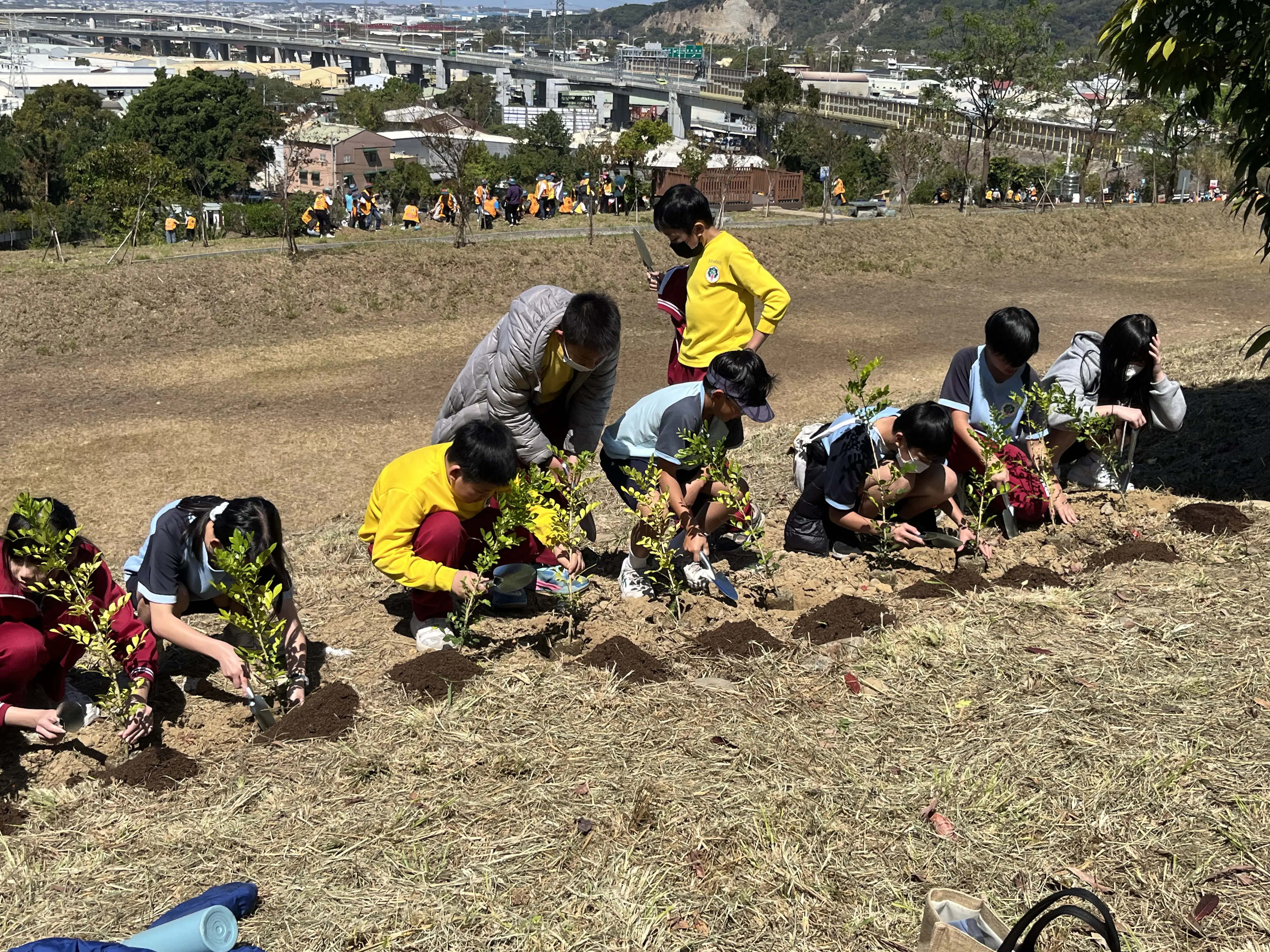 115年區域植樹活動登場! 中市農業局跨界合作推「原地札根 韌性森活」編織生態綠網 115年區域植樹活動登場! 中市農業局跨界合作推「原地札根 韌性森活」編織生態綠網