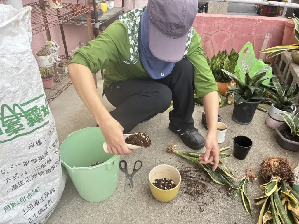 舊瓶罐種出好空氣 中市清潔隊推再生植栽兼顧美化與防疫 舊瓶罐種出好空氣 中市清潔隊推再生植栽兼顧美化與防疫