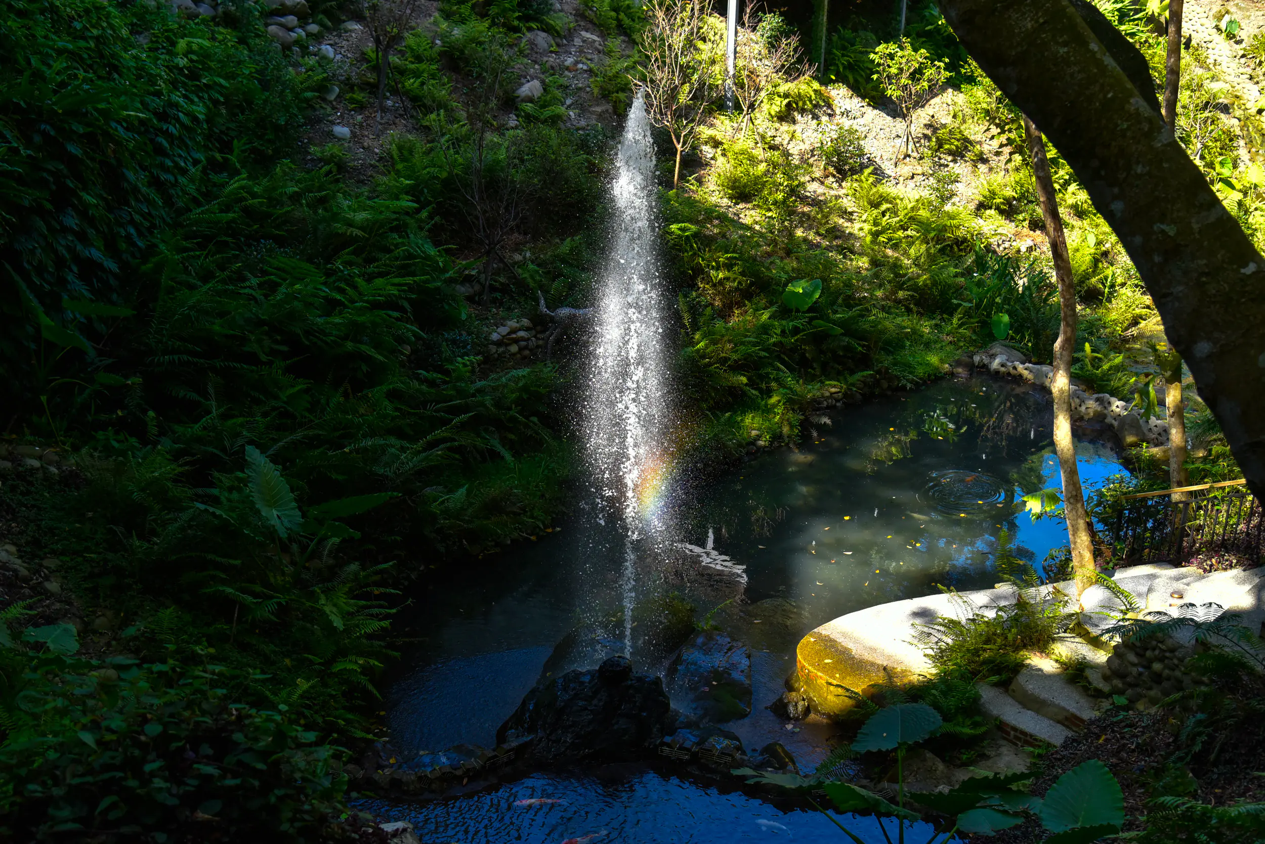 巴部農水源地獲OECM保育共生地認證 巴部農水源地獲OECM保育共生地認證