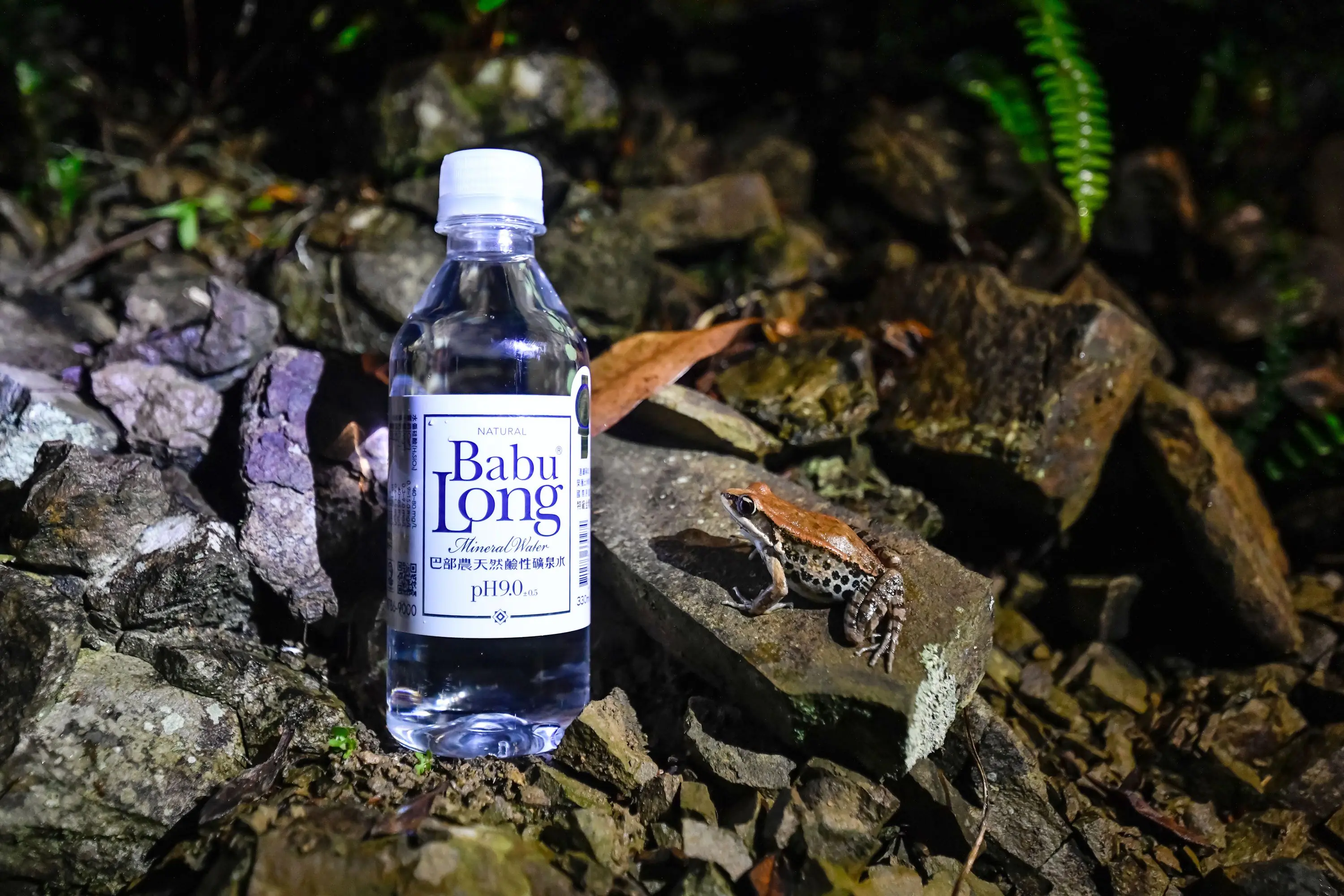 巴部農水源地獲OECM保育共生地認證 巴部農水源地獲OECM保育共生地認證